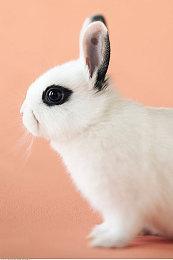 《意航员2》中文截图公布 中文支持即将上线